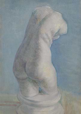 PlasterTorso female in