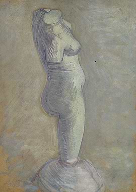 PlasterTorso female in