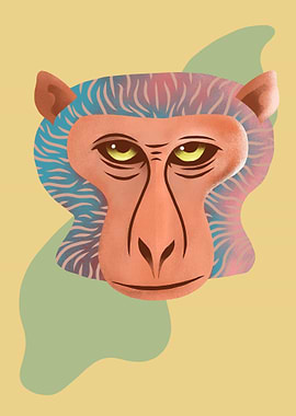 Monkey