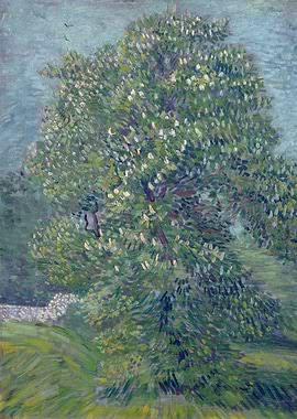 Chestnut Tree in Blossom