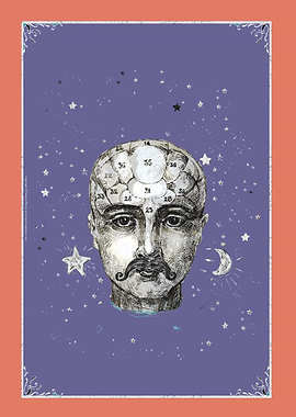 Phrenology + moustache