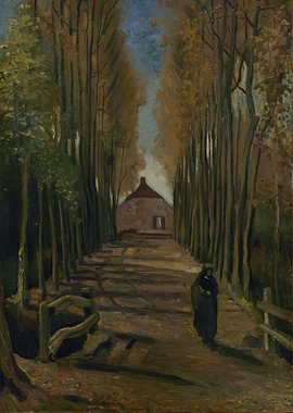 Avenue of Poplars at Sunse