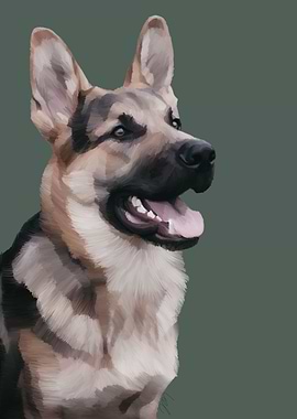 German Shepherd