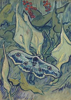 Emperor moth May 1889 1