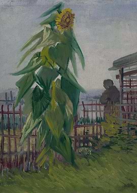 Allotment with Sunflower