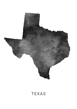 Texas state map