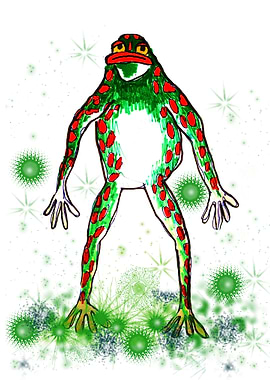 Green Galaxy Frog