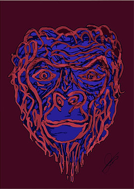 Eyes of a fearless Gorilla