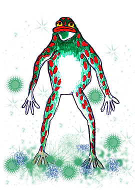 Green star Frog