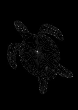 Sea Turtle Stars Edition