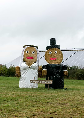 Just married puppets stars