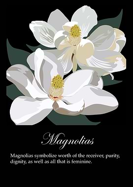 Magnolias poster