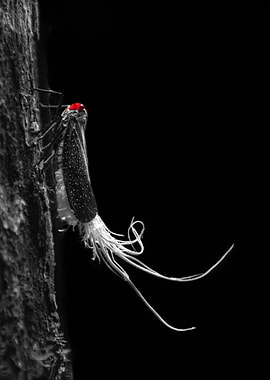 A red orb in darkness