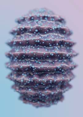 Cocoon soft and pumpy