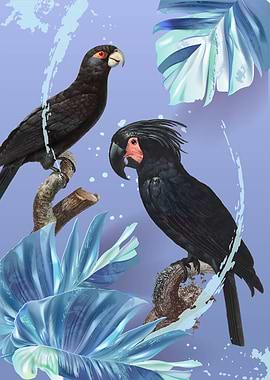 Tropical Birds 02