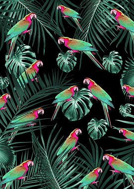 Parrots in the Jungle 1