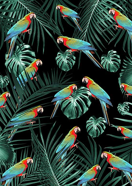 Parrots in the Jungle 2