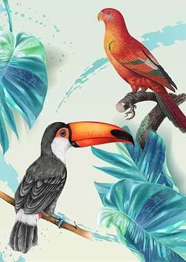 Tropical Birds 04