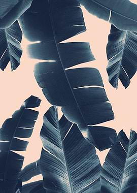 Banana Leaves Vibes 5