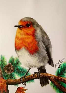 Robin Redbreast