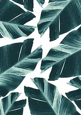 Tropical Banana Leaves 2