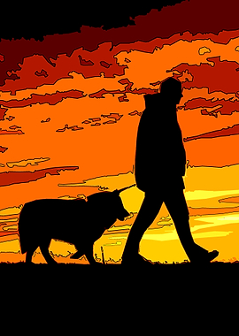 walking home with dog