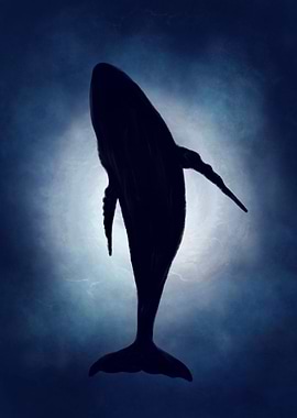 Whale underwater