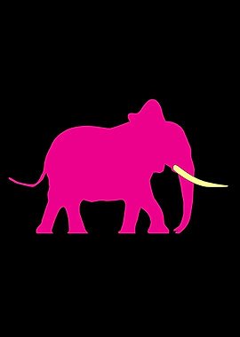 Pink Elephant On Black