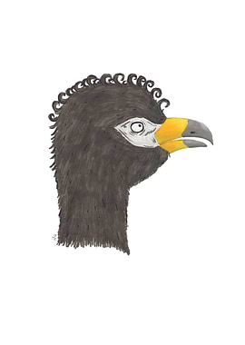 Muitu Bird