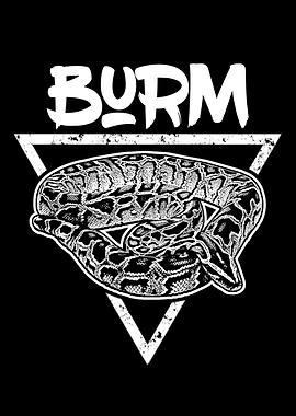 Burmese Python Urban