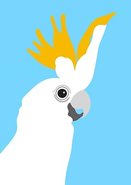 Cockatoo Bird