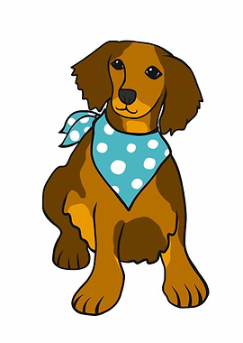 Brown long hair dachshund