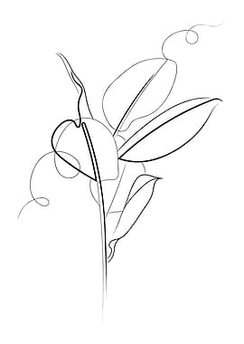 Rubber Plant Line Drawing