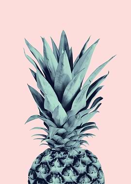 Blush Pineapple Dream 1