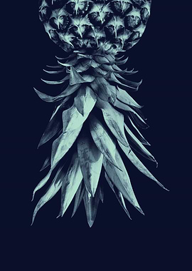 Navy Blue Pineapple 1