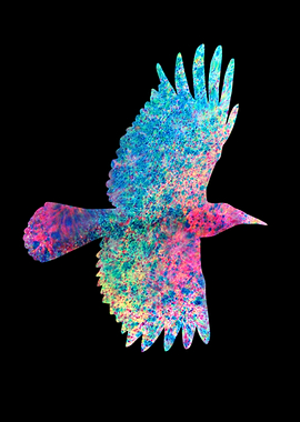 Color crow