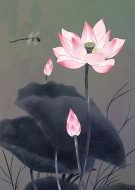 Lotus Flowers dragonfly