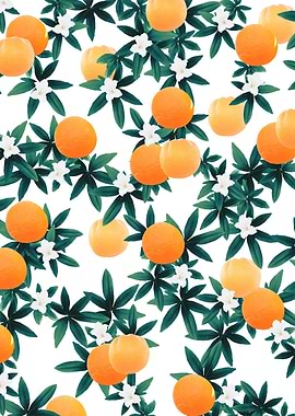 Orange Twist Vibes 1