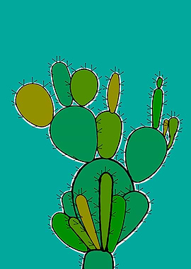 Green Cactus Plant
