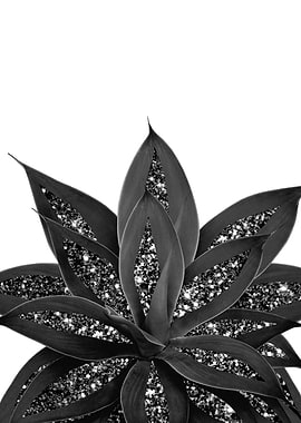 Gray Black Agave Silver 1