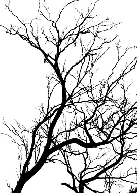 In memory of trees no8