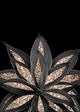 Gray Black Agave Gold 1