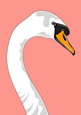 Swan Portrait Illustration