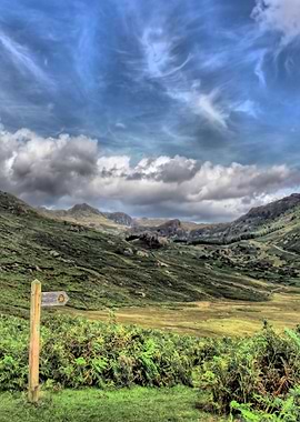 The Start of the journey