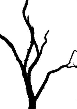 In memory of trees no7