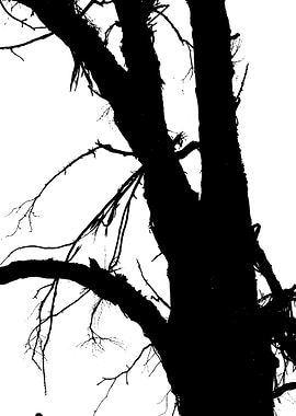 In memory of trees no9