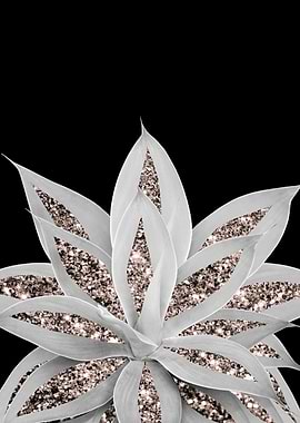 Gray Agave Rose Gold 2