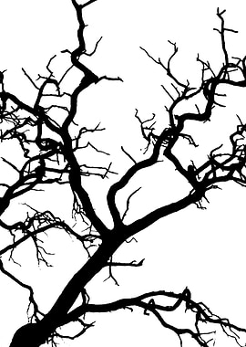 In memory of trees no15