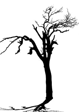 In memory of trees no13