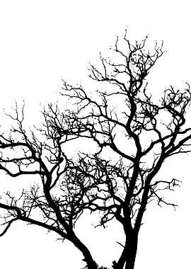 In memory of trees no10